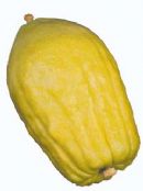 Sukkot