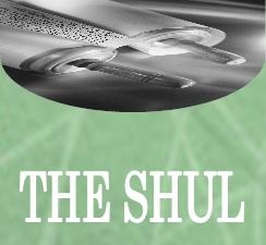 theshulicon2.jpg
