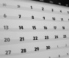 Schedule
